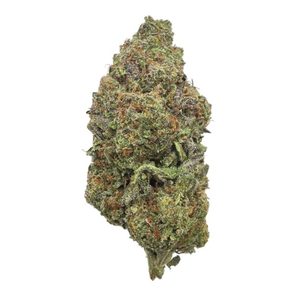 Mimosa-1