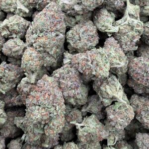 Mimosa-2
