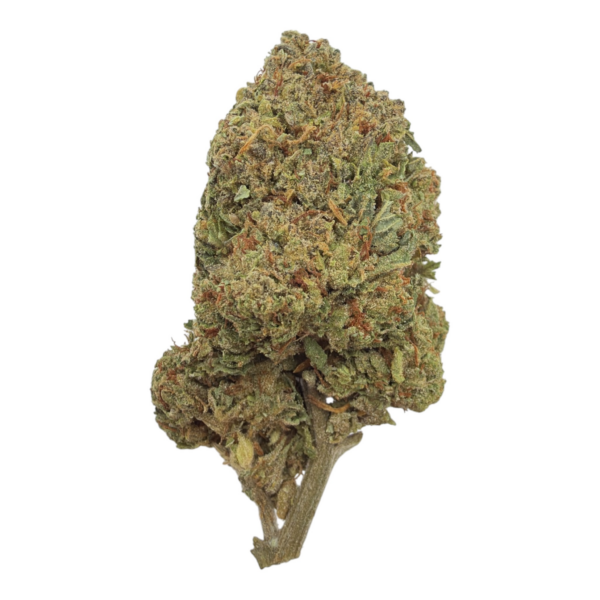 gelato_41