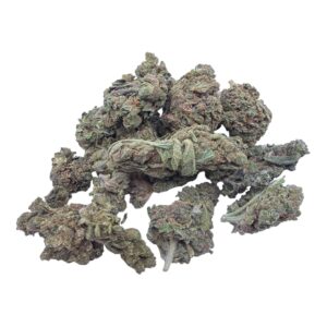 mj-mintz-primary
