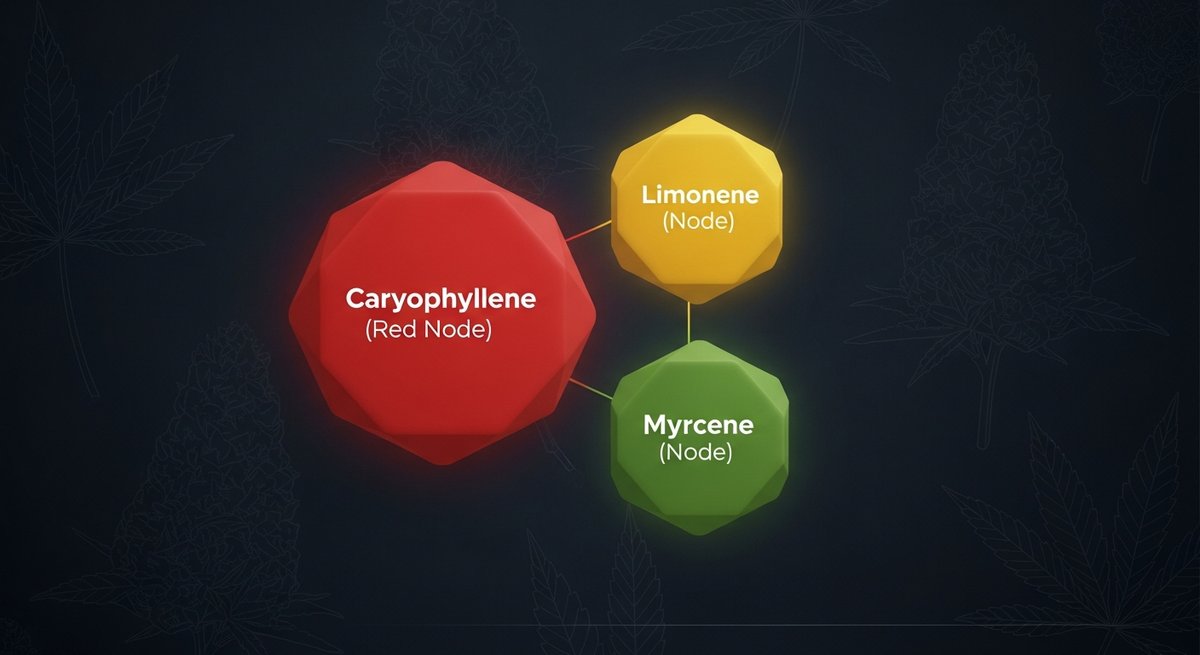 Pink Cookies Strain 2 Terpene profile graphic for Pink Cookies showing Caryophyllene in red, Limonene in yellow, and Myrcene in green