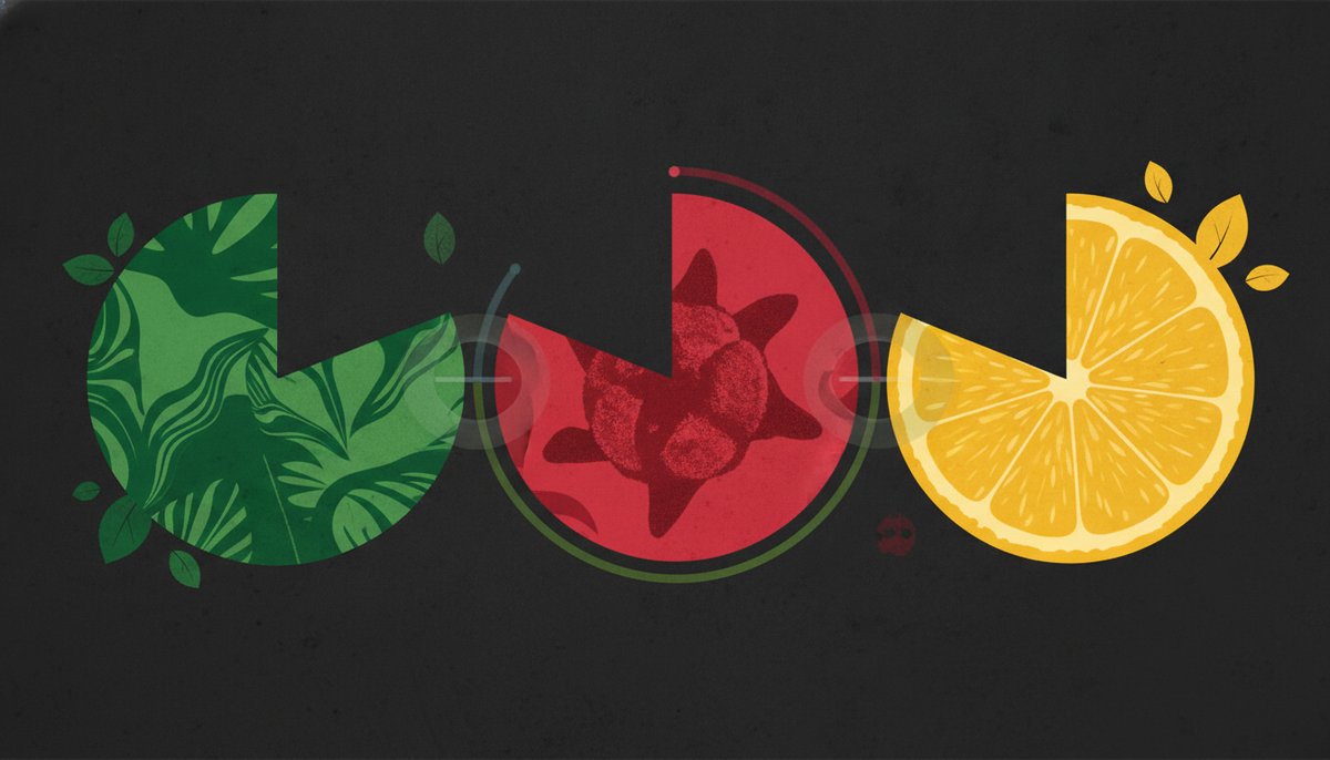 Pink Guava Strain 2 Terpene profile graphic for Pink Guava showing Myrcene in green, Caryophyllene in red, and Limonene in yellow