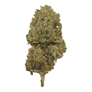 triple-og-nug