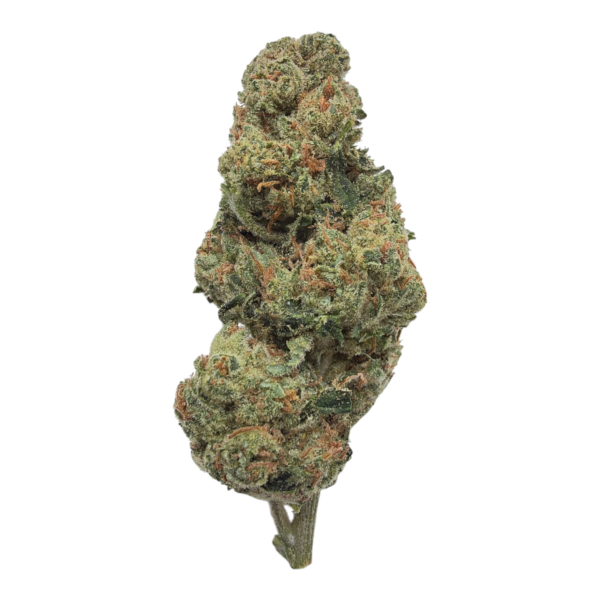 alien-og