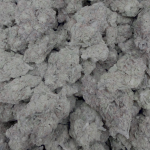 oreo-blizzard-2