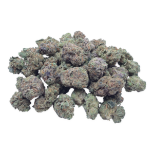 plain-jane-black-cherry-gelato-flower