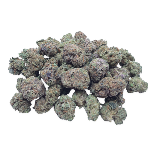 plain-jane-black-cherry-gelato-flower