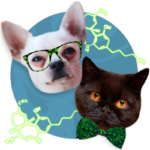 Cannabis Products for Pets, Cat and Dog and Weed