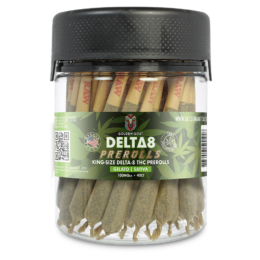 Delta 8 Doobies, King Size Jar, 50ct 100MG - Gelato