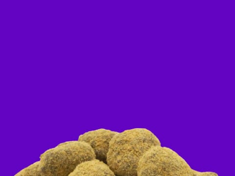 Moor Rock Cannabis on purple Background